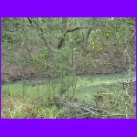 Walking The Trail.jpg
